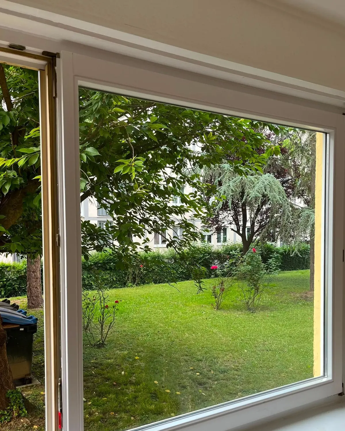 Fensterfront nachher